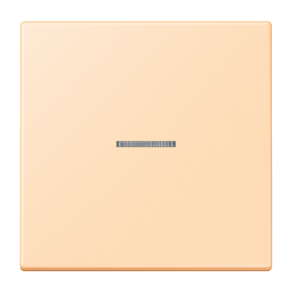 JUNG Kontrollwippe Schalter ocre mt LC 990 KO5 223 f.Bussystem