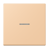 JUNG Kontrollwippe Schalter ter_sie_31 LC 990 KO5 237 mt f.Bussystem