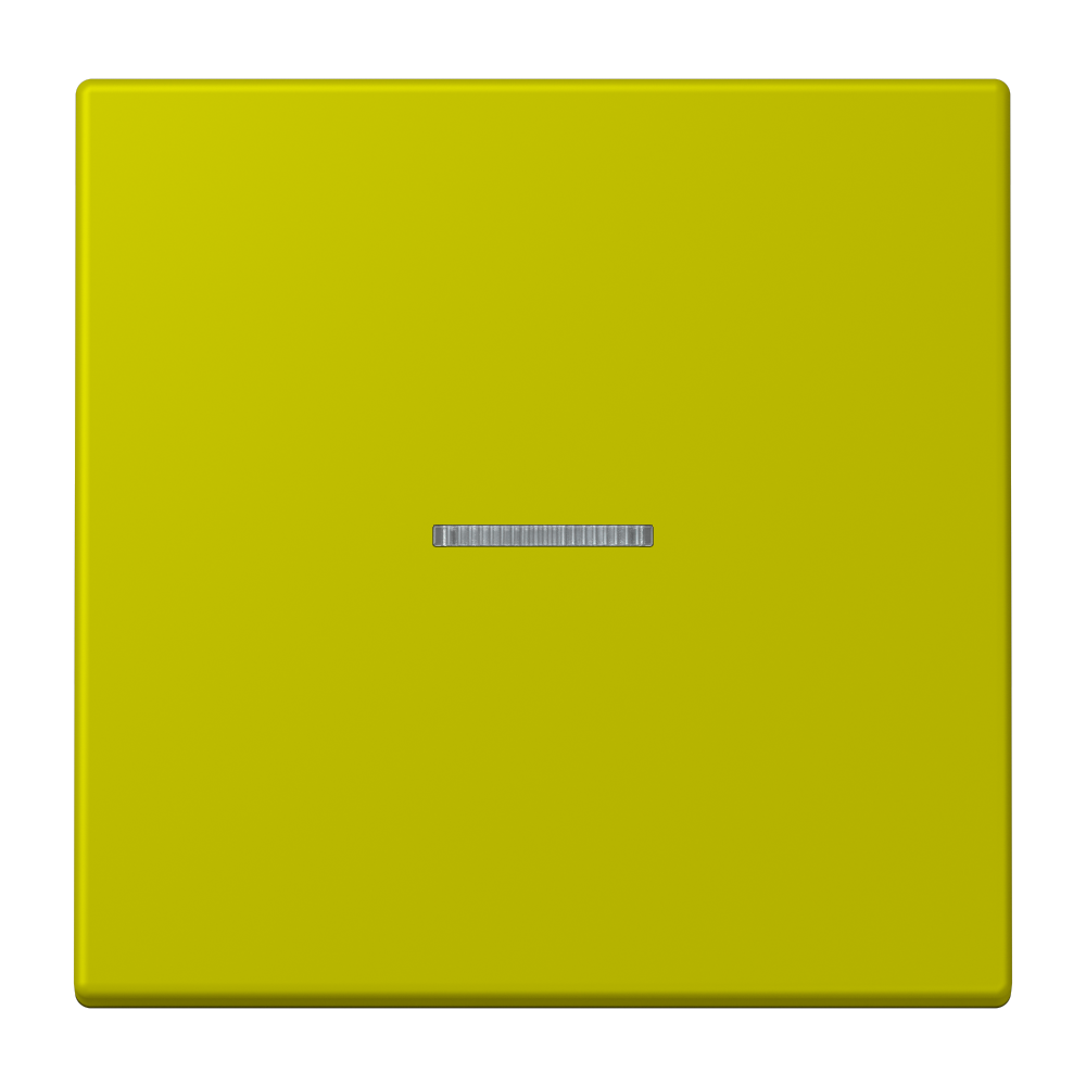 JUNG Kontrollwippe Schalter ver_oli_vif LC 990 KO5 249 mt f.Bussystem