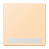 JUNG Wippe Schalter ocre mt Textfeld BSF LC 990 NA 223 f.Bussystem