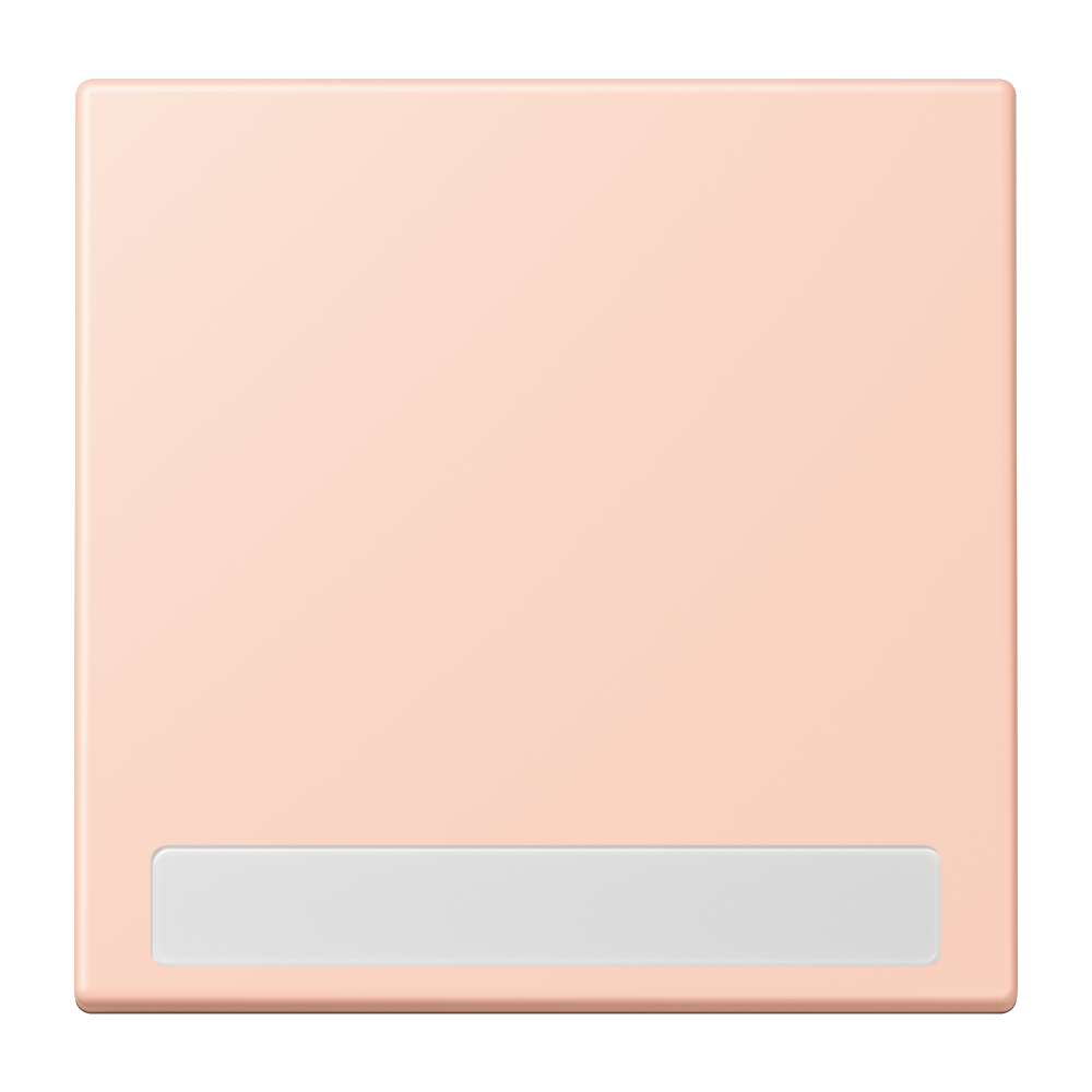 JUNG Wippe Schalter l'ocr_rou_cla mt BSF LC 990 NA 234 Textfeld f.Bussystem