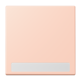 JUNG Wippe Schalter l'ocr_rou_cla mt BSF LC 990 NA 234 Textfeld f.Bussystem