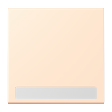 JUNG Wippe Schalter ter_sie_pal mt BSF LC 990 NA 238 Textfeld f.Bussystem