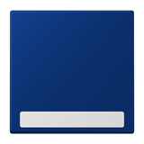 JUNG Wippe Schalter ble_out_fon mt BSF LC 990 NA 261 Textfeld f.Bussystem