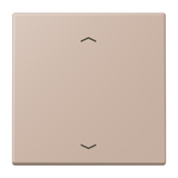 JUNG Wippe Jalousie omb_bru_cla mt LC 990 P 240 Pfeile f.Bussystem