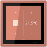 JUNG Bedienelement KNX Kst ter_sie_briq LCZ 459 BF D 1S 236 UP 6Bet Status-LED