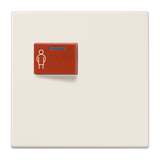 JUNG Klinik Abdeckung cws ZP glz LS 071 C