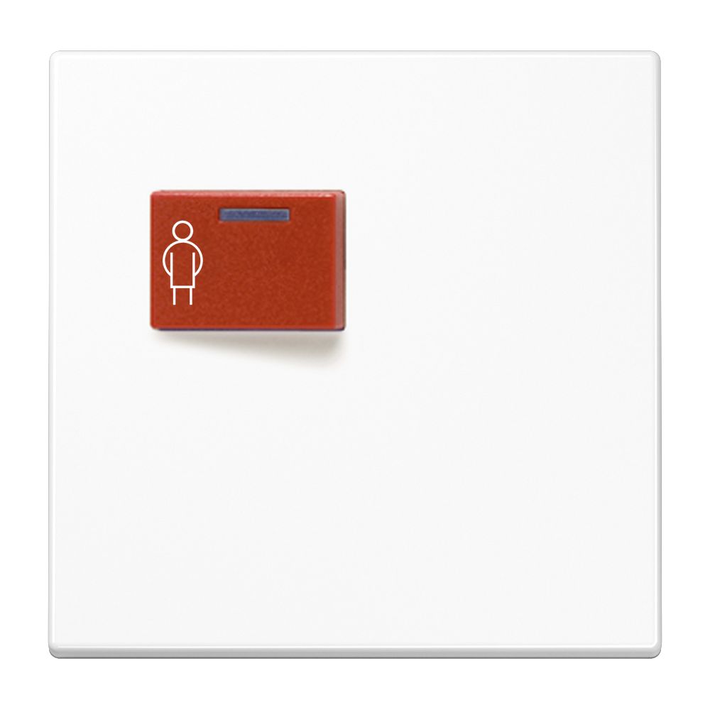 JUNG Klinik Abdeckung aws ZP glz LS 071 C WW