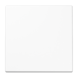 JUNG Wippe Schalter aws glz f.Bussystem LS 101 WW