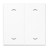 JUNG Wippe_2t Jalousie aws glz LS 102 P WW Pfeile f.Bussystem