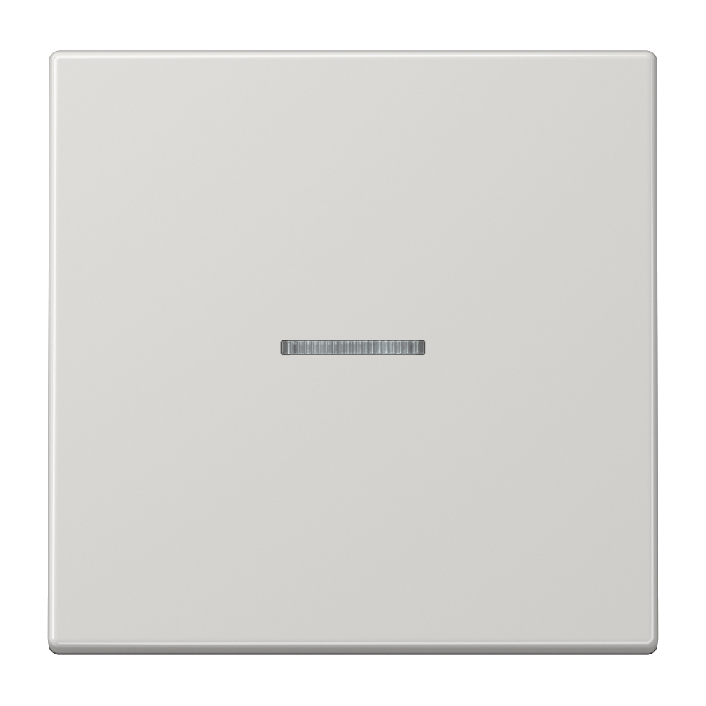 JUNG Tastsensor KNX UP lgr glz 1f 2pkt LS 1091 1ST RF LG Bussystem KNX-RF (Funk