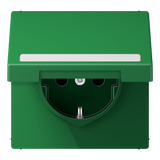 JUNG Steckdose 1f gn glz UP Klappd IP20 LS 1520 BFNAKL GN BSF vert