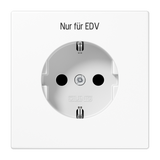 JUNG Steckdose 1f aws glz UP m.BS EDV LS 1520 EDV WW IP20 BSF vert