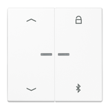 JUNG UP-BT-Timer-Einsatz aws glz LS 1751 PBT WW Basis+zentr.Abdeckpl