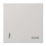 JUNG Raumtemperaturregler UP KNX lgr glz LS 2178 ORTS LG Basiselem