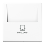 JUNG Hotelcard Schalter aws glz LS 590 CARD WW