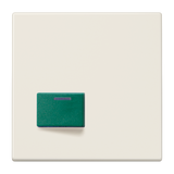 JUNG Klinik Abdeckung cws ZP glz LS 642 C