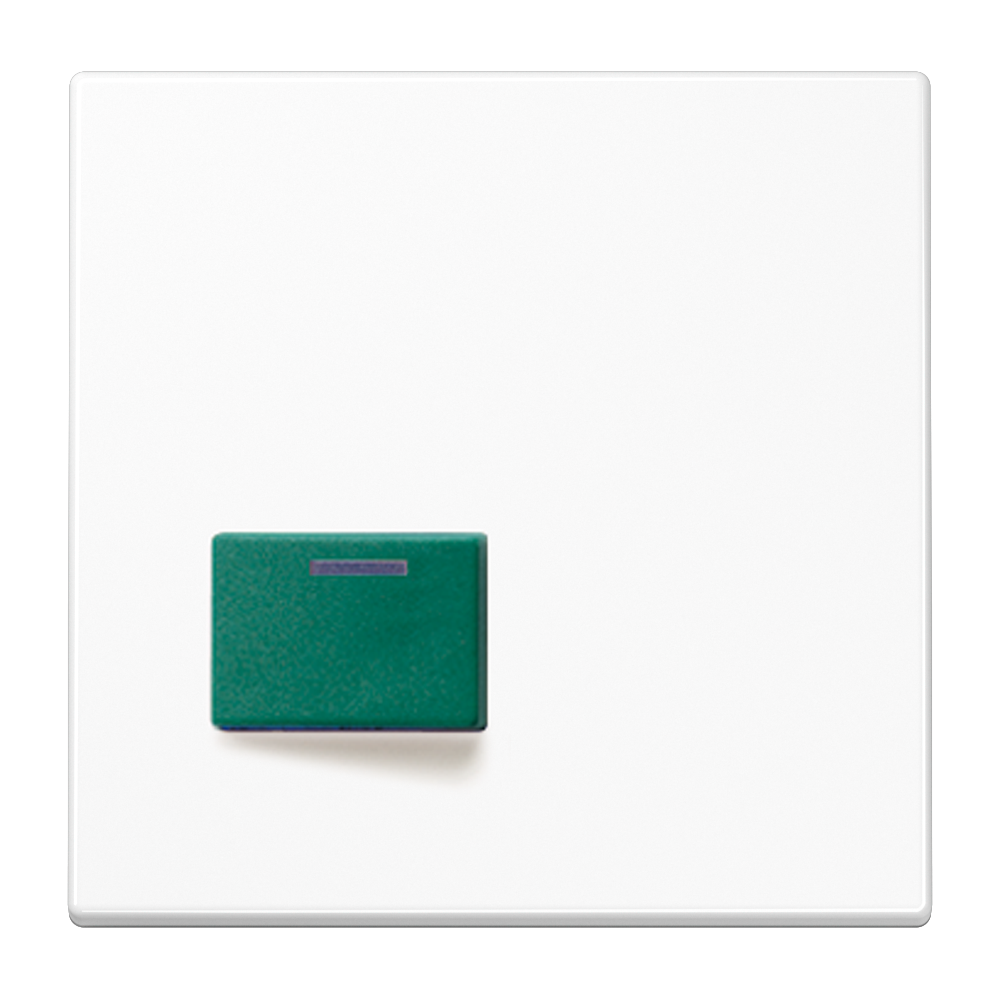 JUNG Klinik Abdeckung aws ZP glz LS 642 C WW