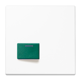 JUNG Klinik Abdeckung aws ZP glz LS 642 C WW