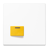 JUNG Klinik Abdeckung aws ZP glz LS 642 D WW