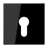 JUNG Schlüssel/Abd Schalter sw glz LS 925 SW