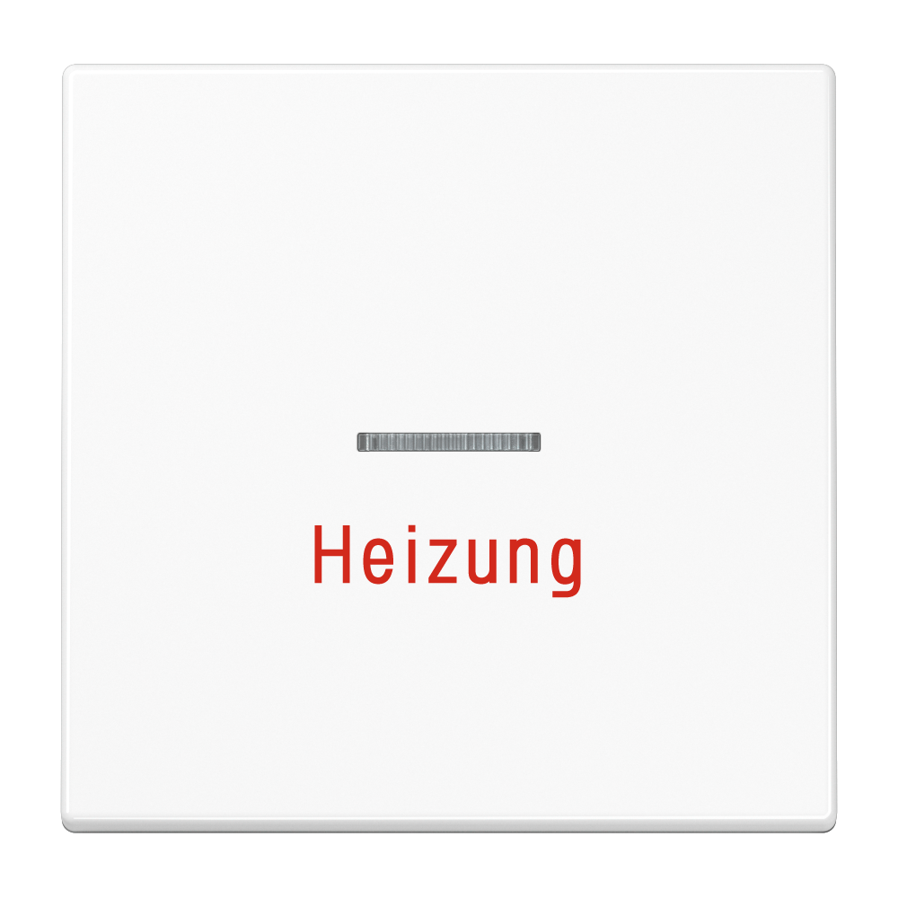 JUNG Kontrollwippe Schalter aws glz LS 990 H WW austb.Symb
