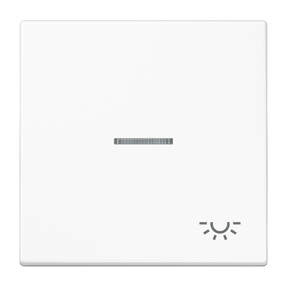JUNG Wippe 1t Schalter aws glz Licht LS 990 KO5 L WW f.Bussystem