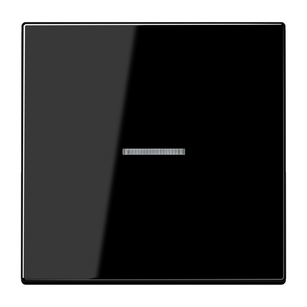 JUNG Kontrollwippe Schalter sw glz LS 990 KO5 SW f.Bussystem