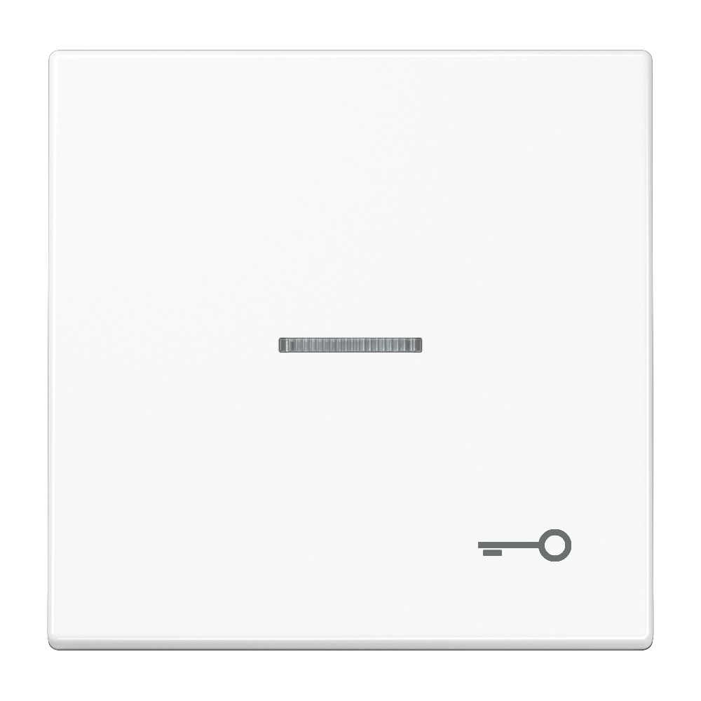 JUNG Wippe 1t Schalter aws glz LS 990 KO5 T WW Schl/Tür f.Bussystem