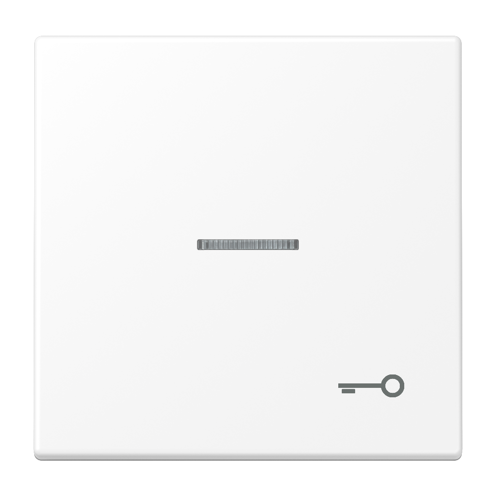 JUNG Wippe 1t Schalter schn-ws mt LS 990 KO5 T WWM Schl/Tür f.Bussystem