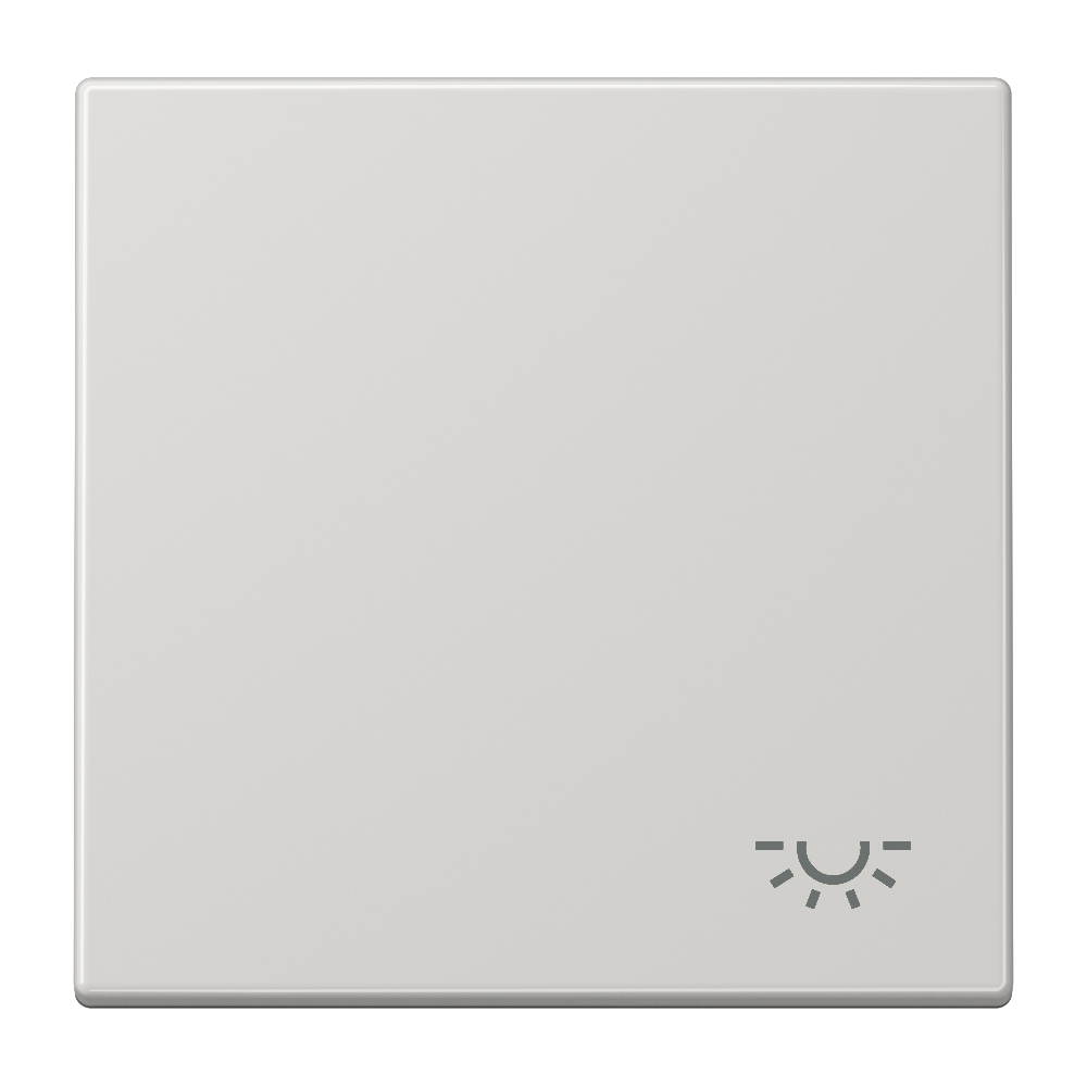 JUNG Wippe Schalter lgr glz Licht LS 990 L LG
