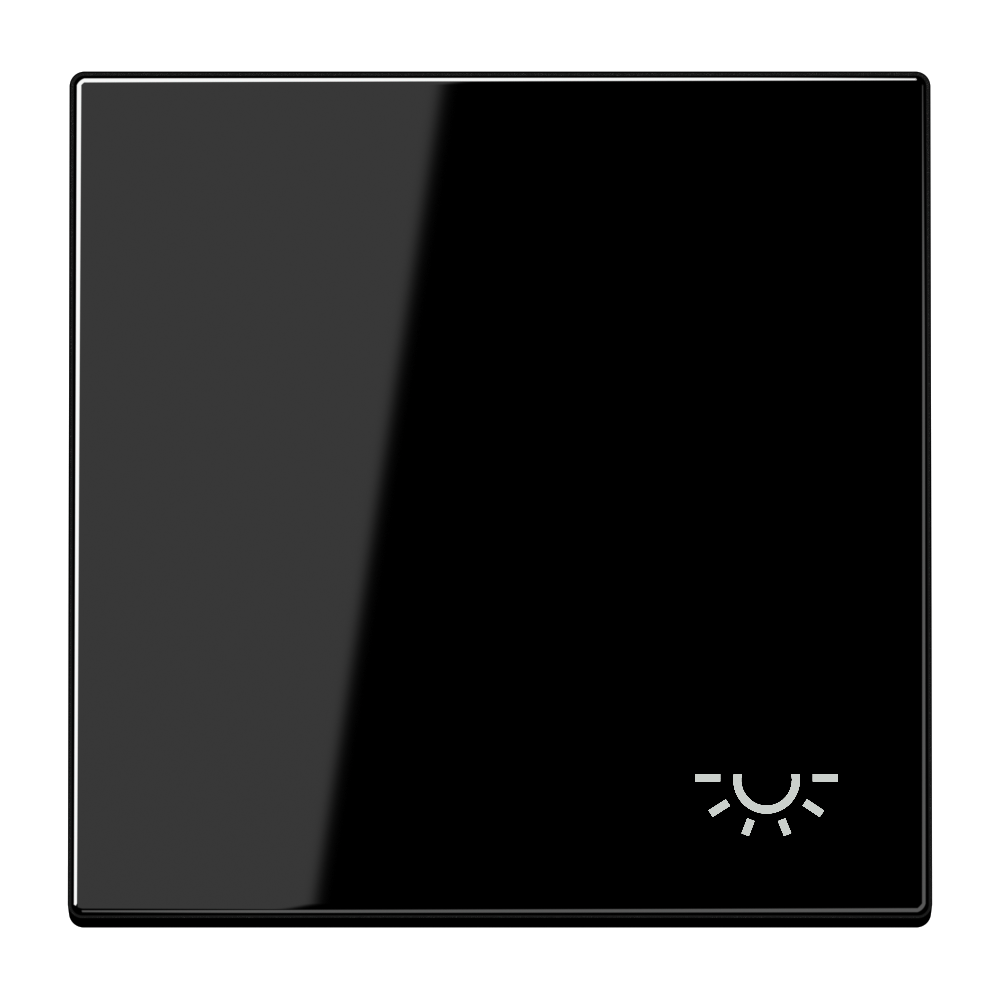 JUNG Wippe Schalter sw glz Licht LS 990 L SW