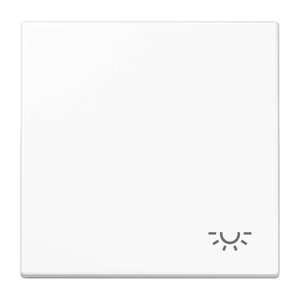 JUNG Wippe Schalter aws glz Licht LS 990 L WW