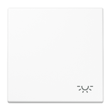 JUNG Wippe Schalter aws glz Licht LS 990 L WW