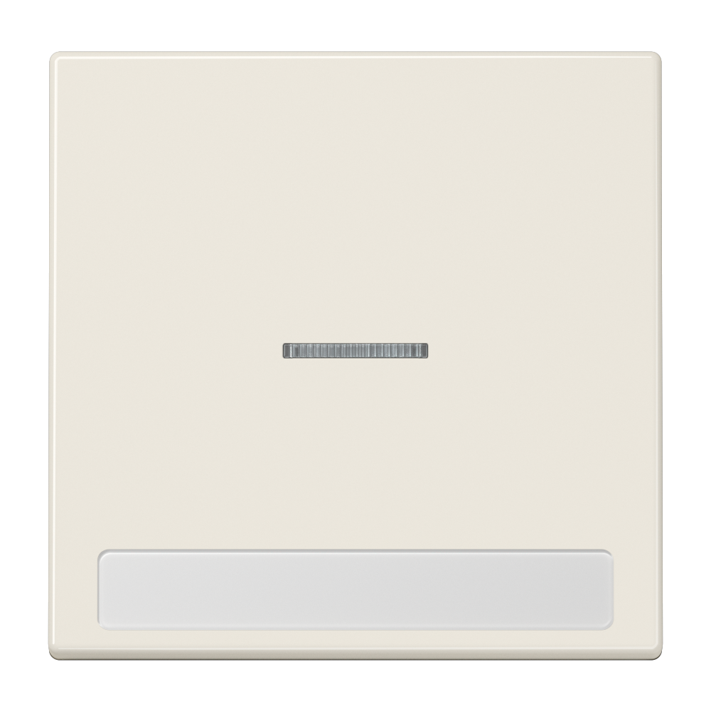 JUNG Kontrollwippe Schalter ws glz BSF LS 990 NAKO5