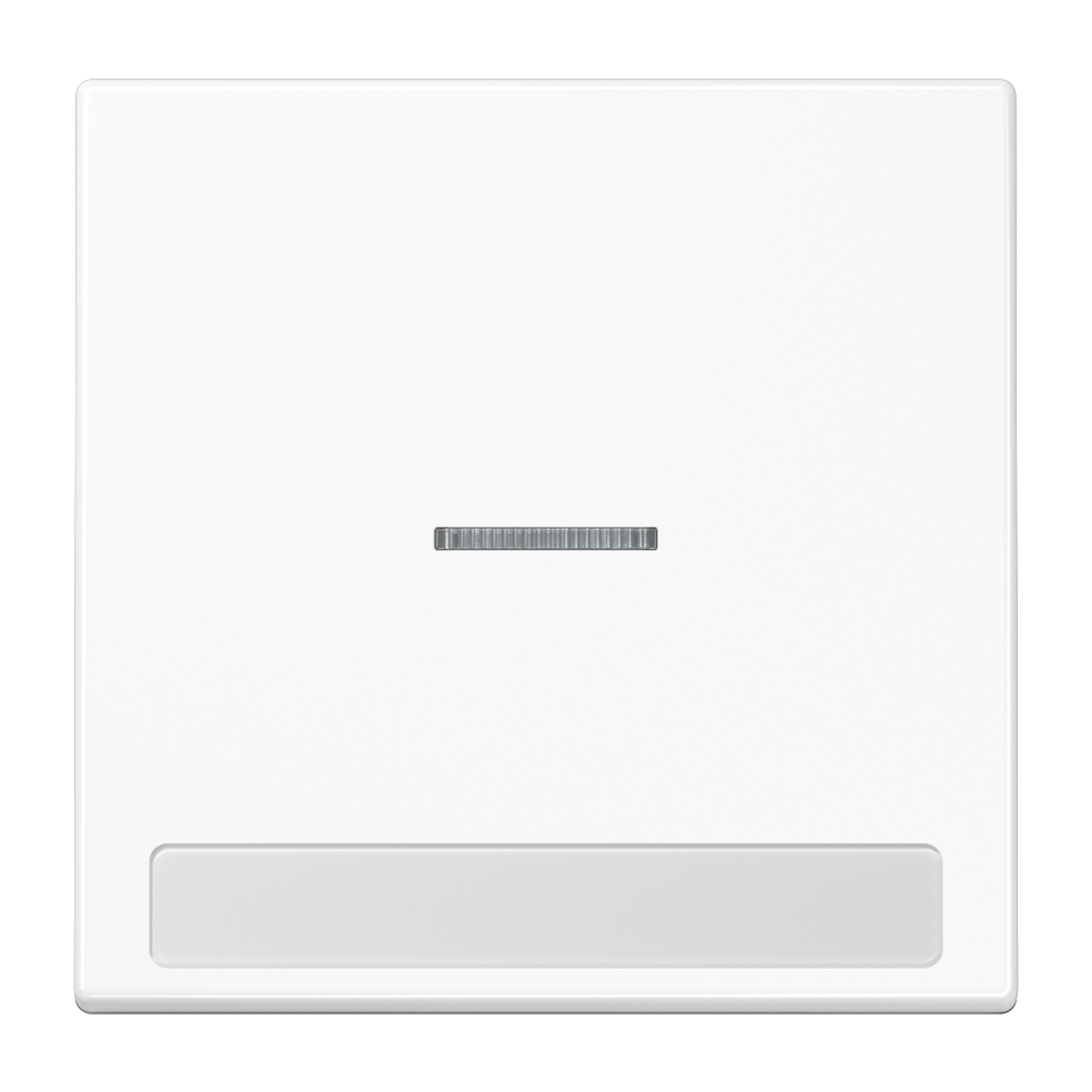 JUNG Kontrollwippe Schalter aws glz BSF LS 990 NAKO5 WW