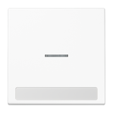 JUNG Kontrollwippe Schalter aws glz BSF LS 990 NAKO5 WW