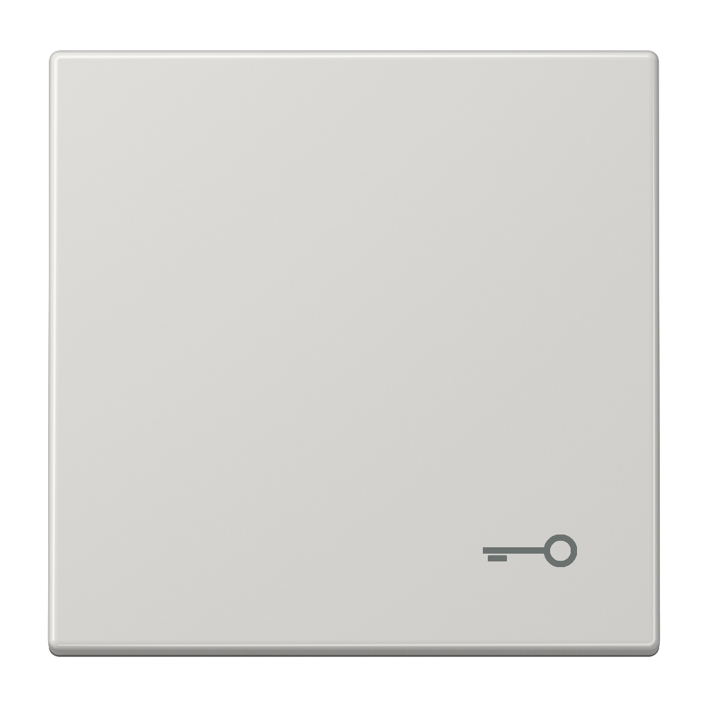 JUNG Wippe Schalter lgr glz Schl/Tür LS 990 T LG