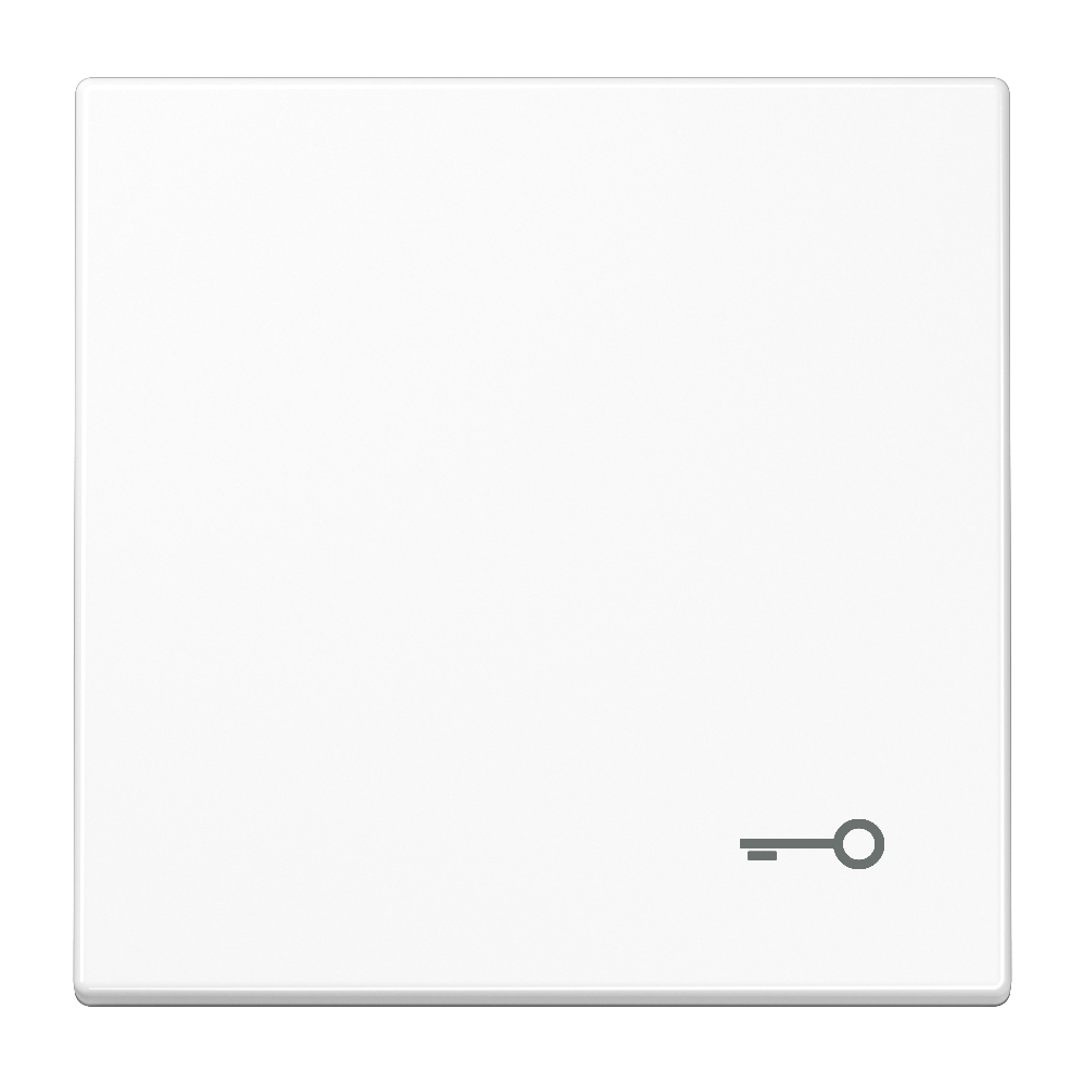 JUNG Wippe Schalter aws glz Schl/Tür LS 990 T WW