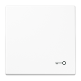 JUNG Wippe Schalter aws glz Schl/Tür LS 990 T WW