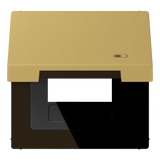 JUNG Klappdeckel antms LS ME 2990 KL USB C