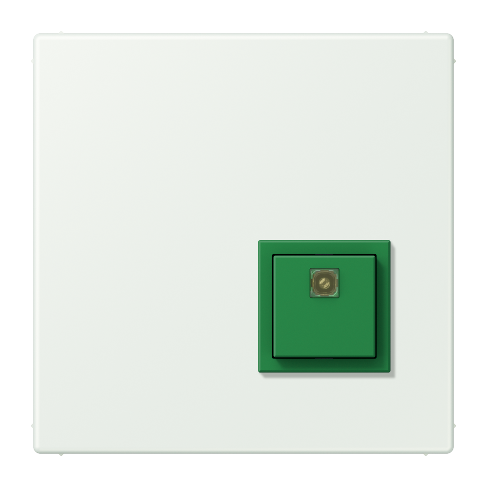 JUNG Klinik-Ruf/Bedienung Wand out_gri NRS LC 0834 AT 210 Basis+v.Abdeckpl Ruf