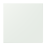 JUNG Netzgerät f.Beh out_gri RAL32024 mt LS NRS LC 0834 NT 210