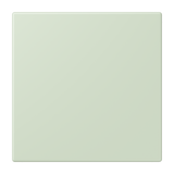 JUNG Netzgerät f.Beh ver_ang_pal mt LS NRS LC 0834 NT 218 RAL32042