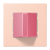 JUNG Leuchte/Summer f.Beh l'ocr_rou_cla NRS LC 0834 RM 234 nicht zutreffend
