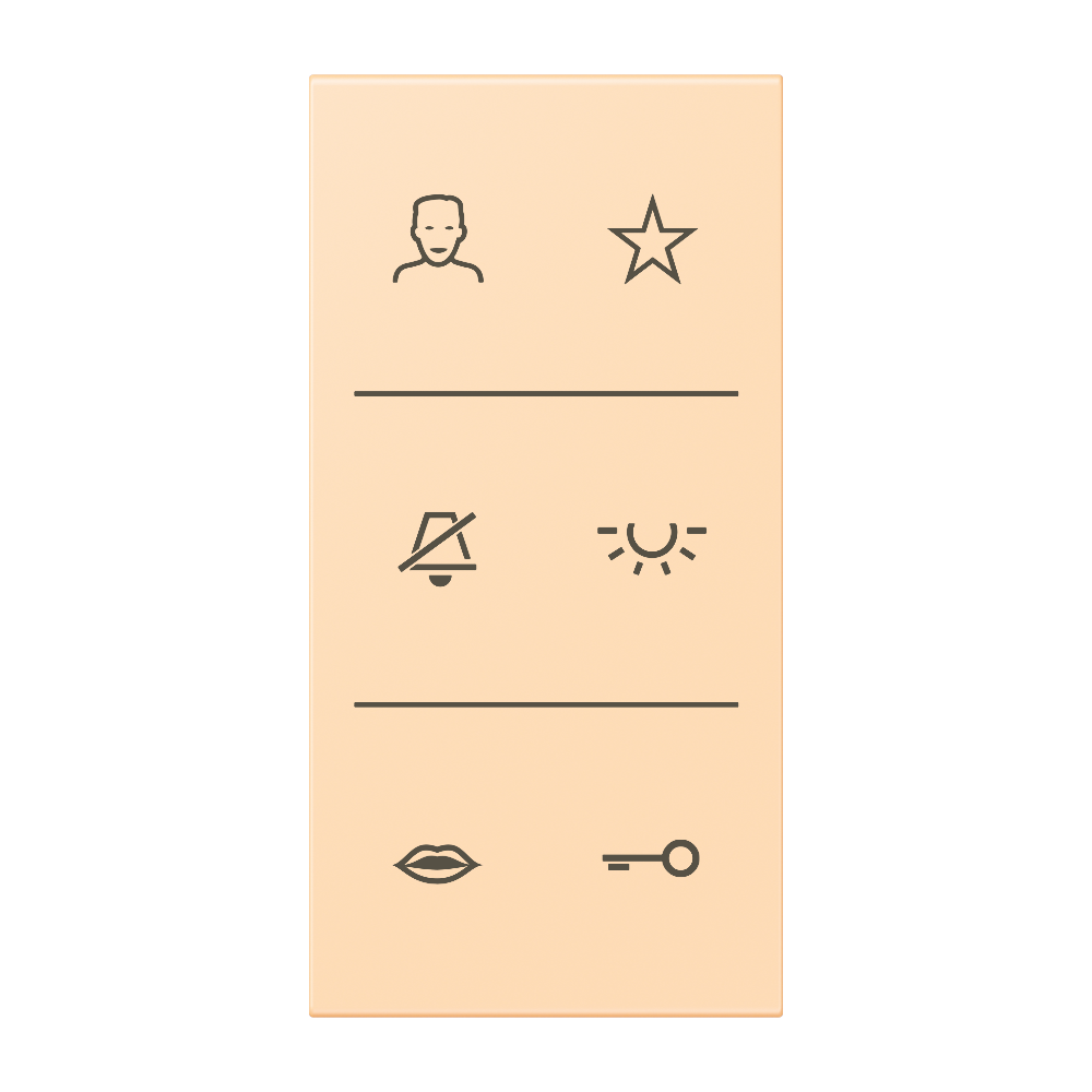 JUNG Abdeckung Türstat ocre mt LS SI V6 LC DC 223 div.Symbole