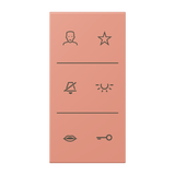 JUNG Abdeckung Türstat l'ocr_rou_moy mt LS SI V6 LC DC 233 div.Symbole