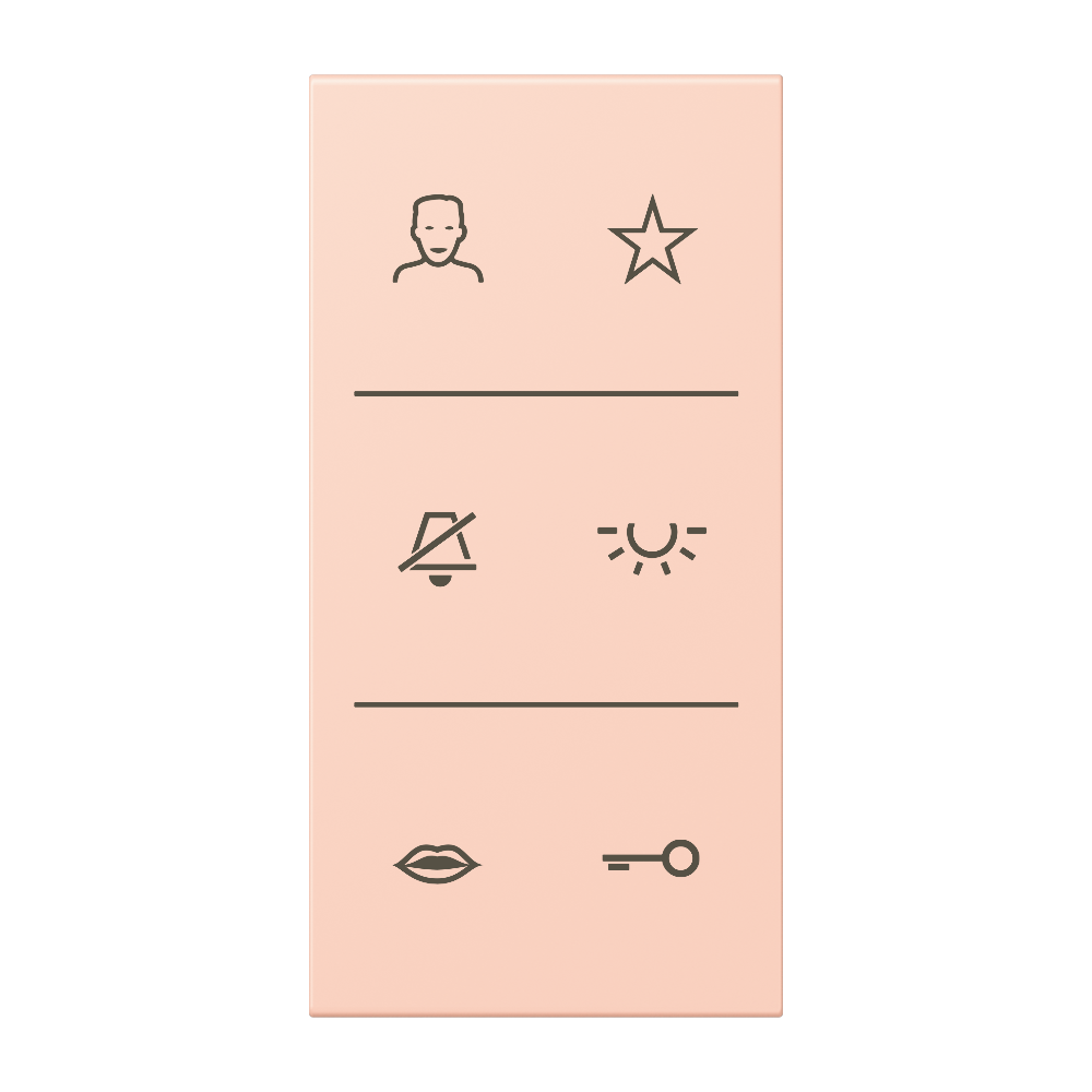 JUNG Abdeckung Türstat l'ocr_rou_cla mt LS SI V6 LC DC 234 div.Symbole