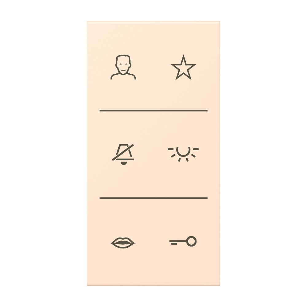 JUNG Abdeckung Türstat ter_sie_pal mt LS SI V6 LC DC 238 div.Symbole