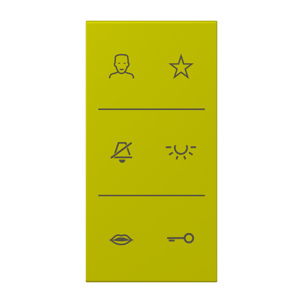JUNG Abdeckung Türstat ver_oli_vif mt LS SI V6 LC DC 249 div.Symbole